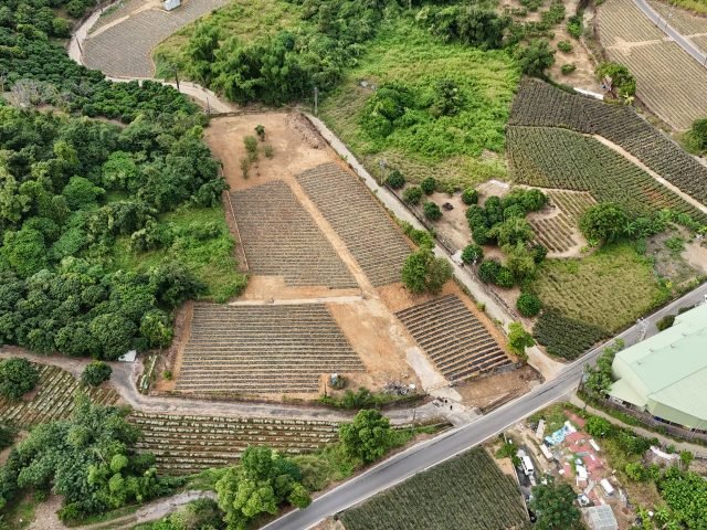 BA0209397 (13)